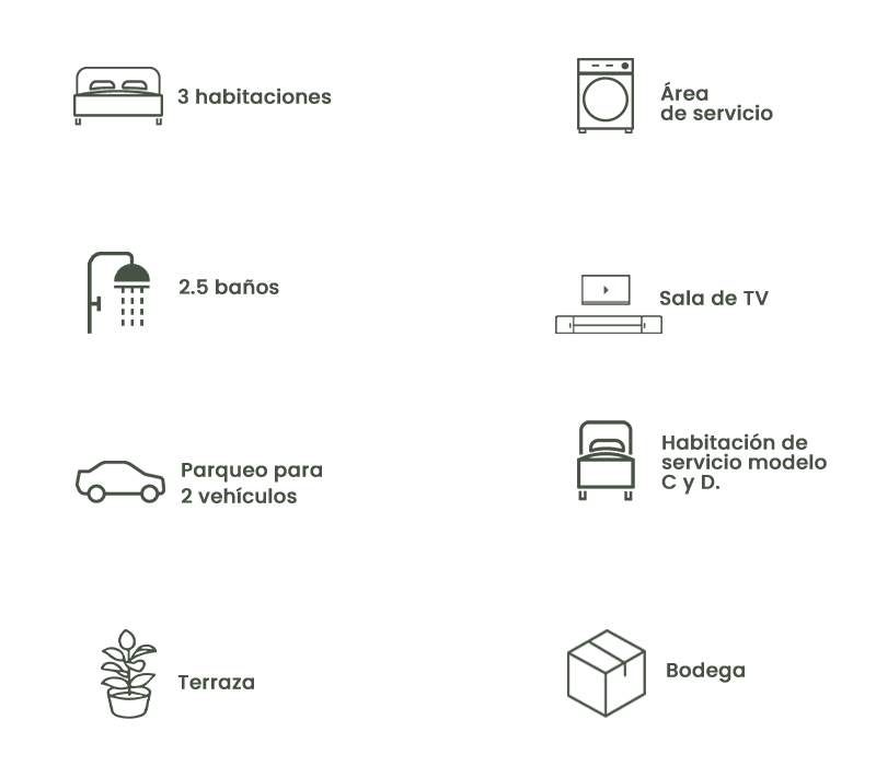 distribucion-ap